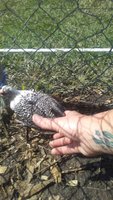 20180524_095919.jpg