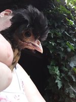 20180524_111434.jpg