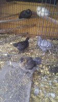 20180524_095839.jpg