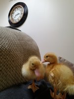 20180524_144047.jpg