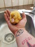 20180524_140916.jpg