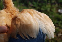 DSC_0413.JPG DSC_0413.JPG