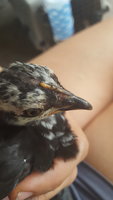 20180524_164711.jpg