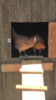 IMG_9517.JPG