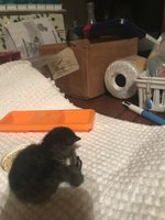 BD951781-A100-4760-8C3F-613FCE701042.jpeg