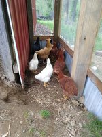 IMG_20180503_181310257.jpg