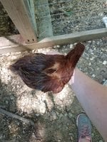 20180525_132231.jpg