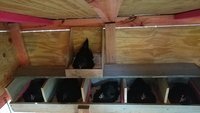 20180508_192647.jpg