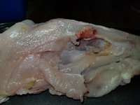20180525_153131.jpg