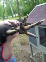 20180525_182505.jpg