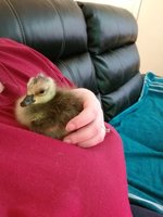 20180525_142631.jpg