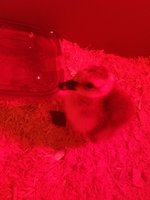 20180525_195348.jpg