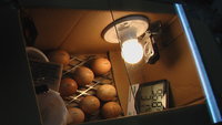 IMGA0769.JPG