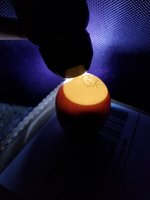 20180526_074357.jpg