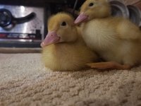 20180526_232118.jpg