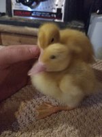 20180526_231938.jpg