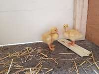 20180523_163201.jpg