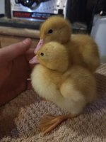20180526_231941.jpg