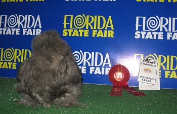 IMG_1573.jpg IMG_1573.jpg