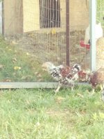 20180527_100554_Film4.jpg