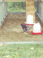 20180527_100508_Film4.jpg