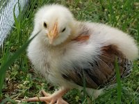 20180527_104726.jpg