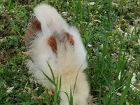 20180527_104609.jpg