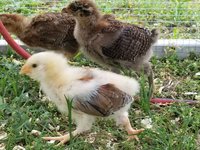 20180527_104537.jpg