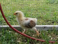 20180527_104150.jpg