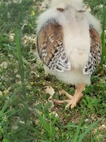 20180527_105720.jpg