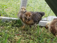 20180527_104738.jpg