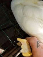 20180527_150747.jpg