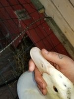 20180527_150738.jpg