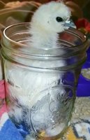 20180527_130409.jpg