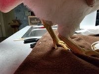 20180527_210055.jpg