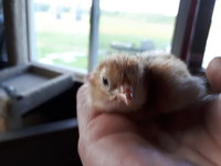 20180527_201114.jpg
