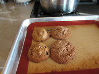 IMG_0586.JPG