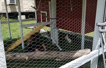 20180527_123025.jpg