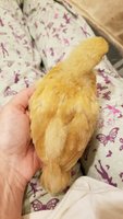 20180521_210358.jpg
