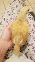20180521_210236.jpg