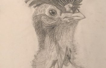 Drawings thread!