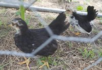 20180528_123934.jpg
