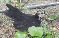 20180528_123624.jpg