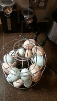 Eggs.15May18.jpg