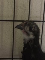 4E741161-3688-4F05-819C-9F2F37441BCB.jpeg