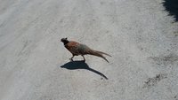 20180526_133445.jpg