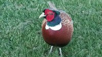 20180528_185933.jpg