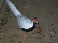 100_1496.JPG
