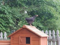 20180527_153730.jpg