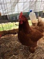 F05A9B11-9E16-4AE6-AFBF-D5725A6AC5B3.jpeg